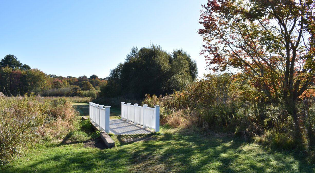 A photograph of a trail through a grassy area with a white footbridge.
