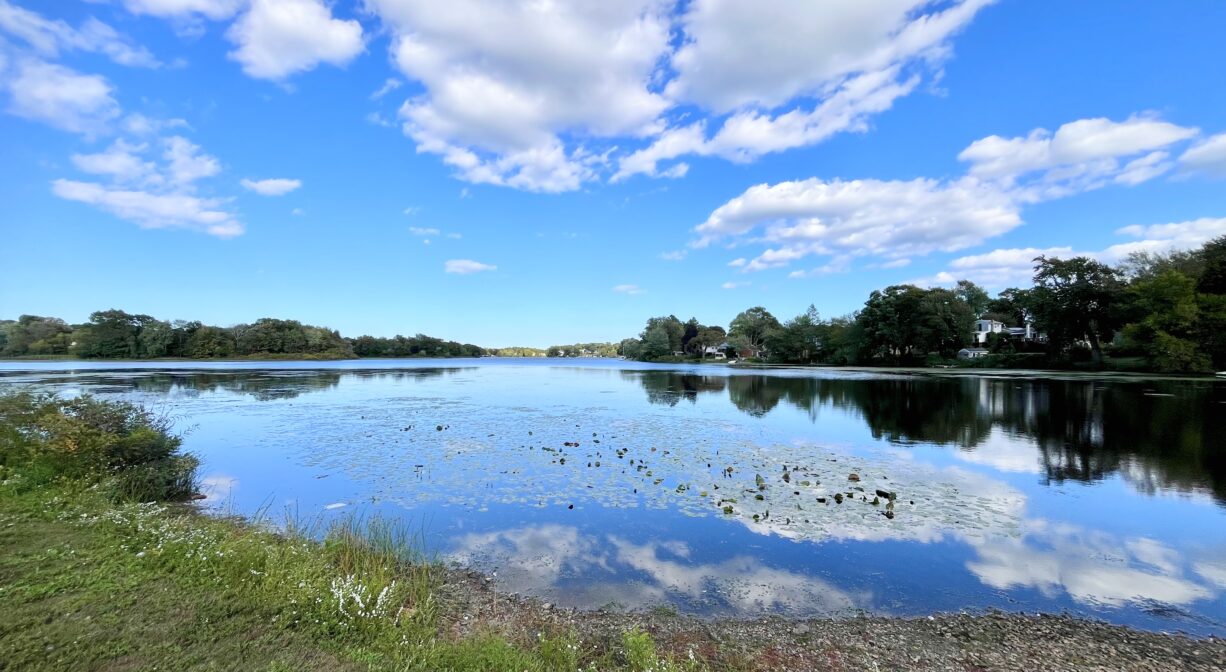 A photograph of a pond reflecting a cloudy blue sky.