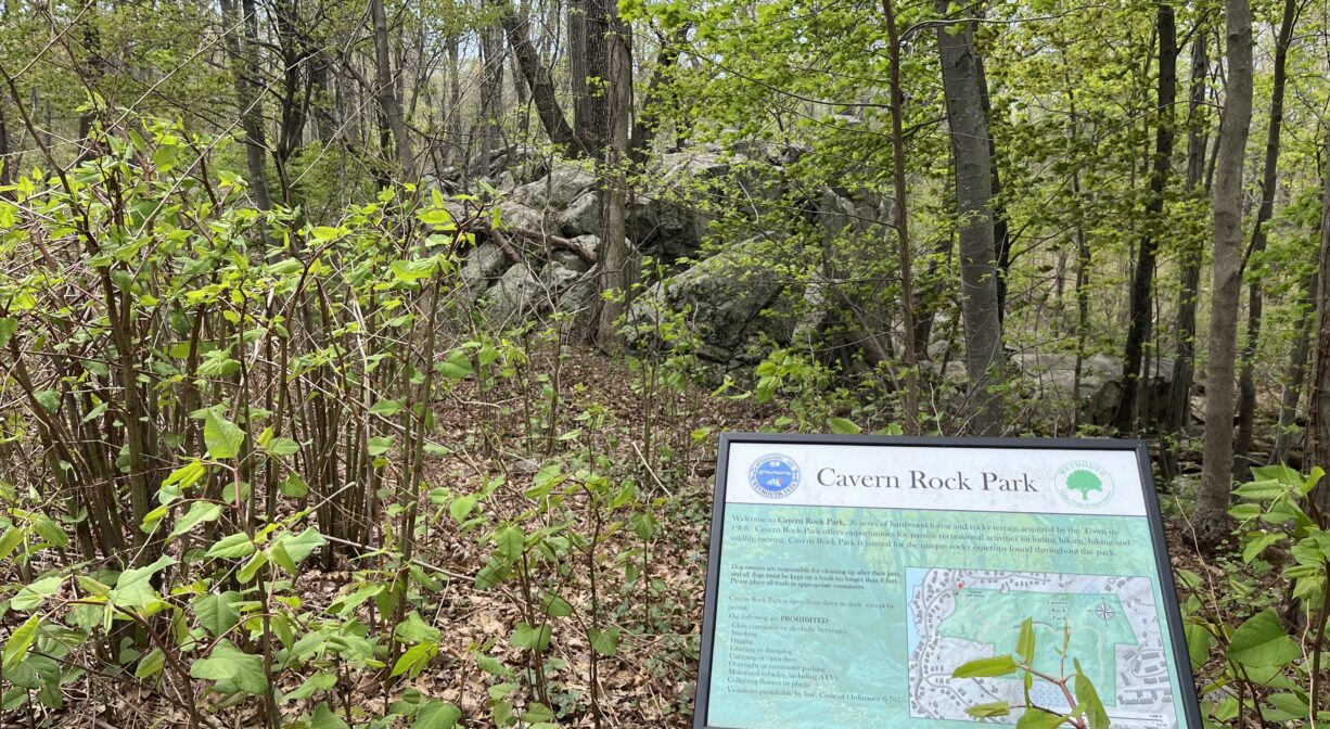 A photograph of a property sign with forest in the background.