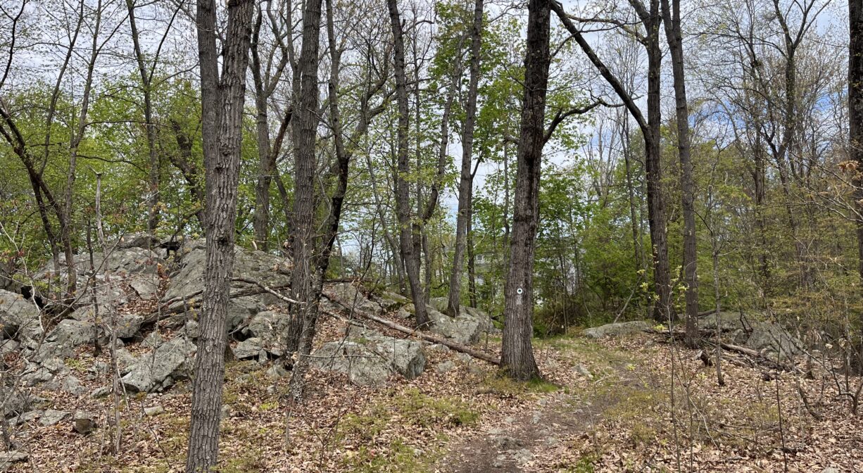 A photograph of a narrow trail through a rocky woodland.