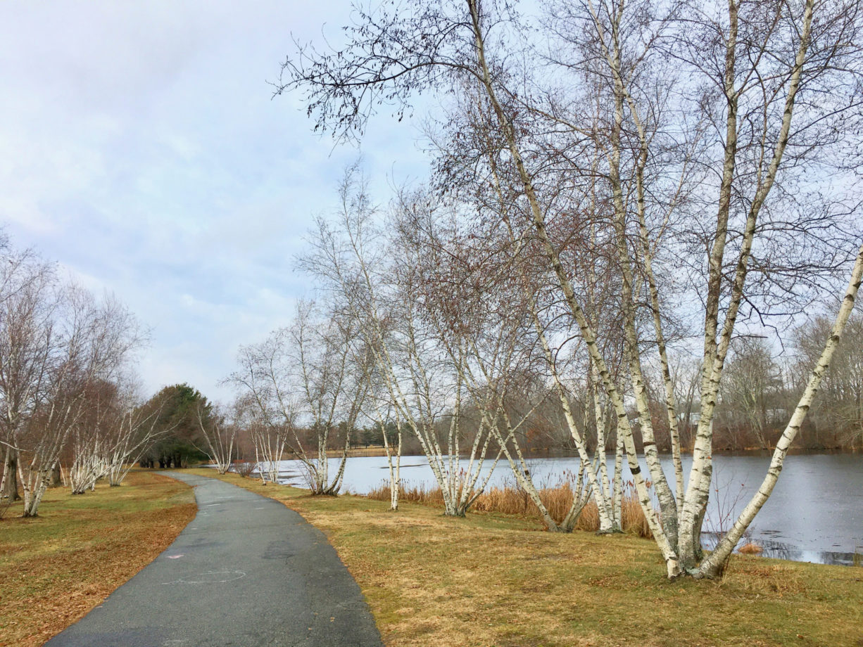 Nature Walks in Whitman 4 Places to Explore North and South Rivers