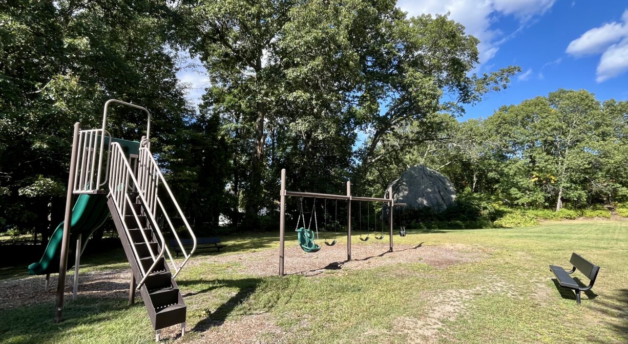 A photograph of a playground equipment within a grassy park.