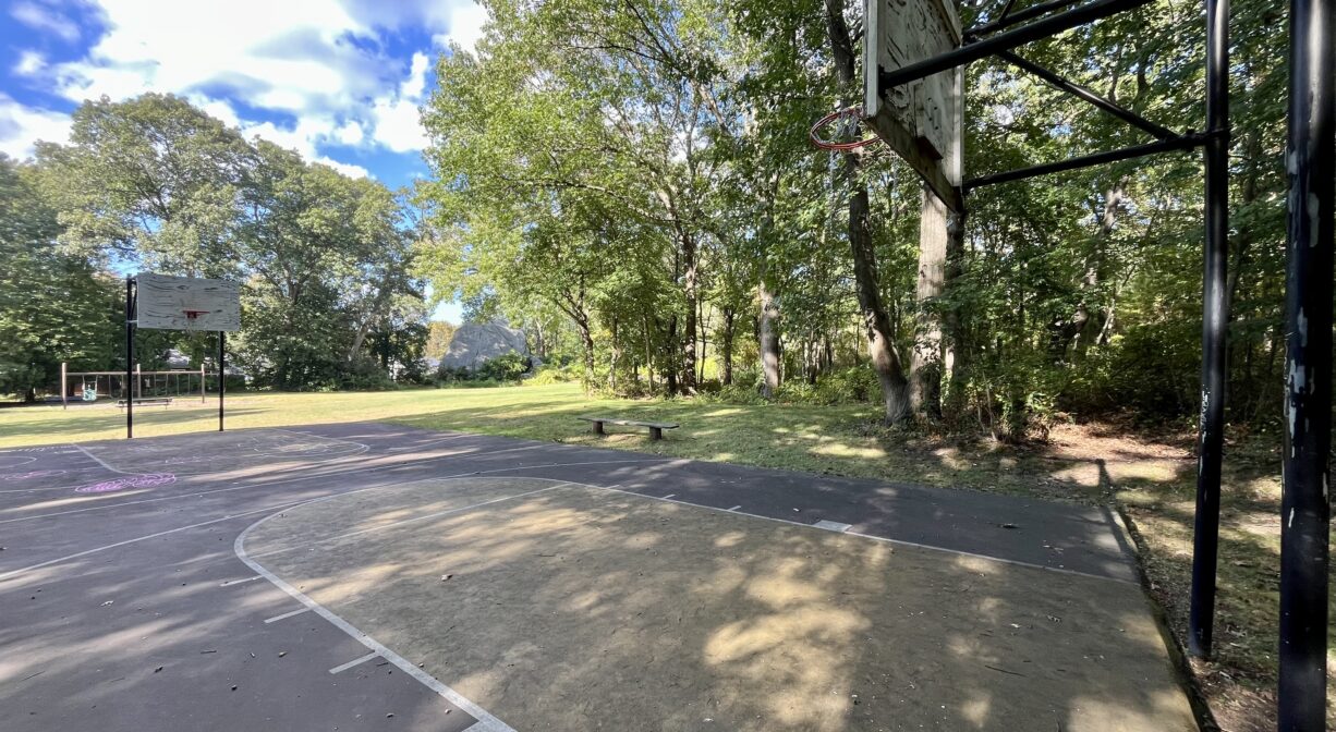 A photograph of a basketball court within a grassy park, with trees to one side.