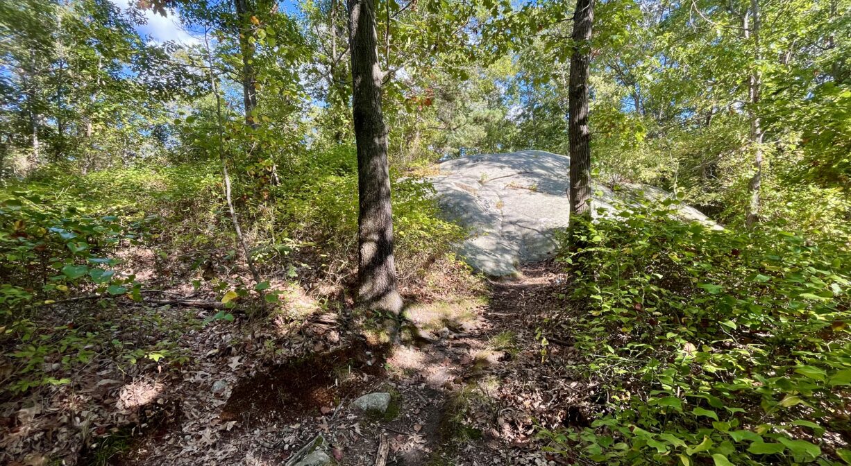 A photograph of a rocky outcropping in a sunny forest.