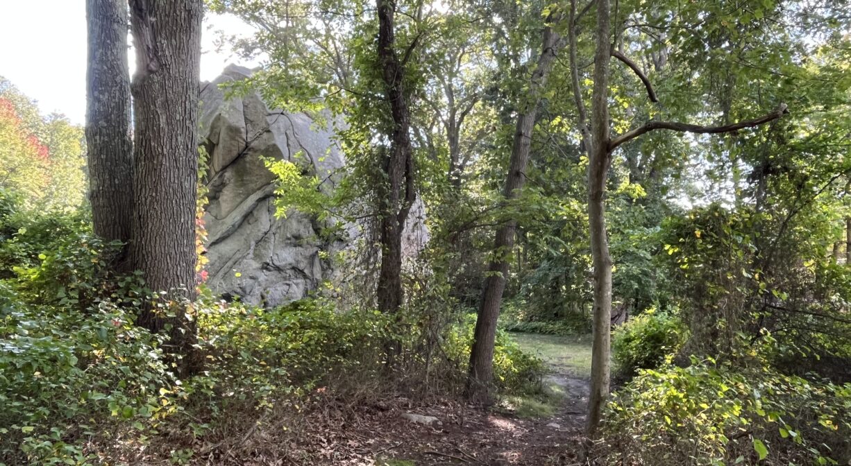A photograph of a trail leading to a grassy park with a large boulder.