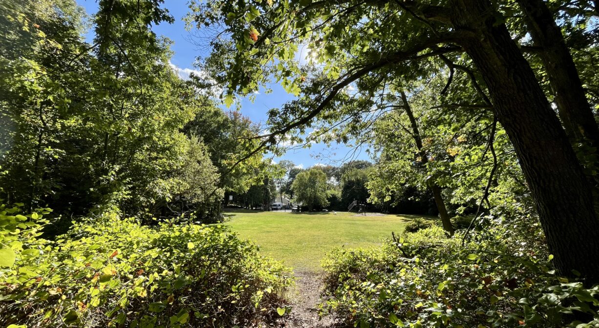 A photograph of a grassy park, viewed from a forest trail.