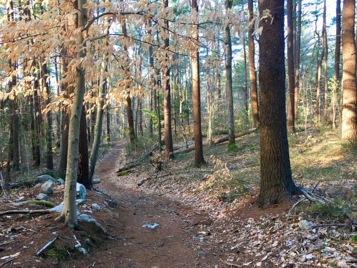 Brass Kettle Conservation Area North and South Rivers Watershed