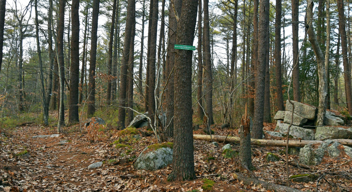 Brass Kettle Conservation Area North and South Rivers Watershed