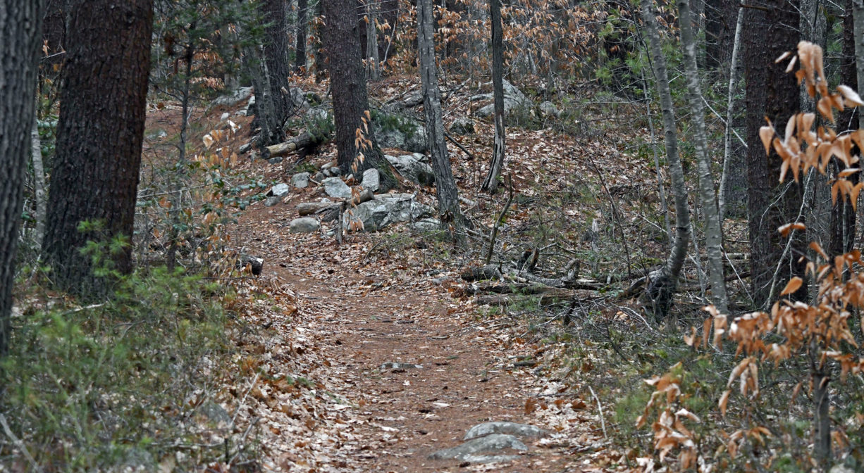 Brass Kettle Conservation Area North and South Rivers Watershed