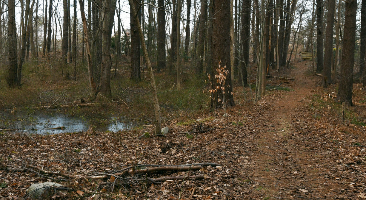 Brass Kettle Conservation Area North and South Rivers Watershed