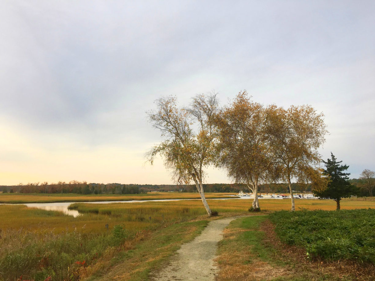 14 Short, Easy Walks for Seniors… And Everyone Else! North and South