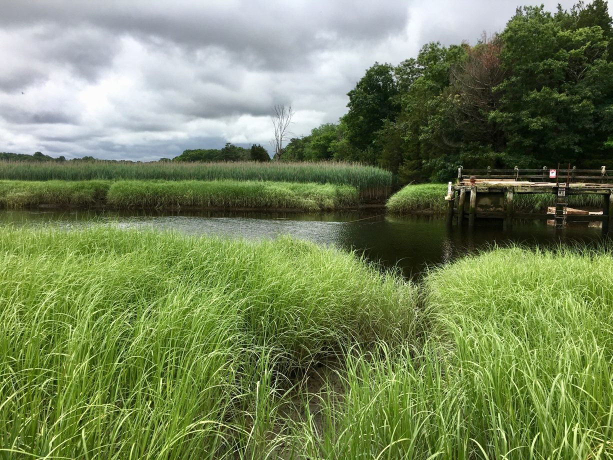 Mulliken's Landing North and South Rivers Watershed Association