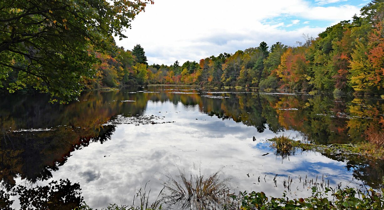 A photograph of a pond with colorful trees along its shores.
