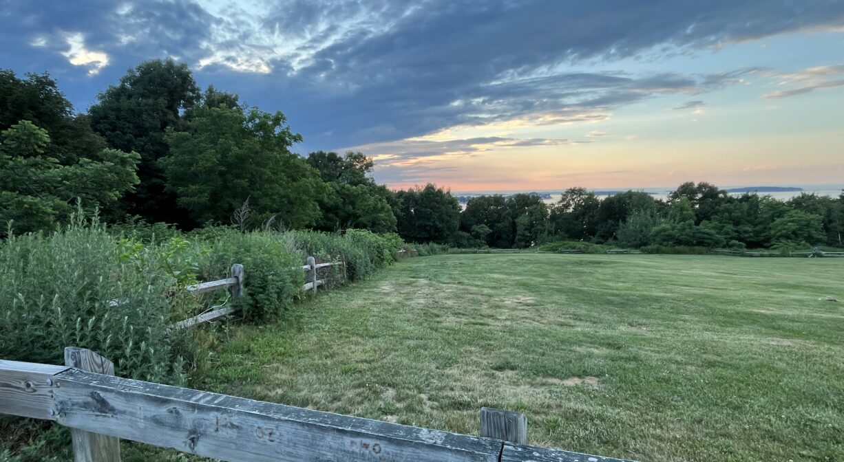 A photograph of a grassy park overlooking a city skyline at sunset.