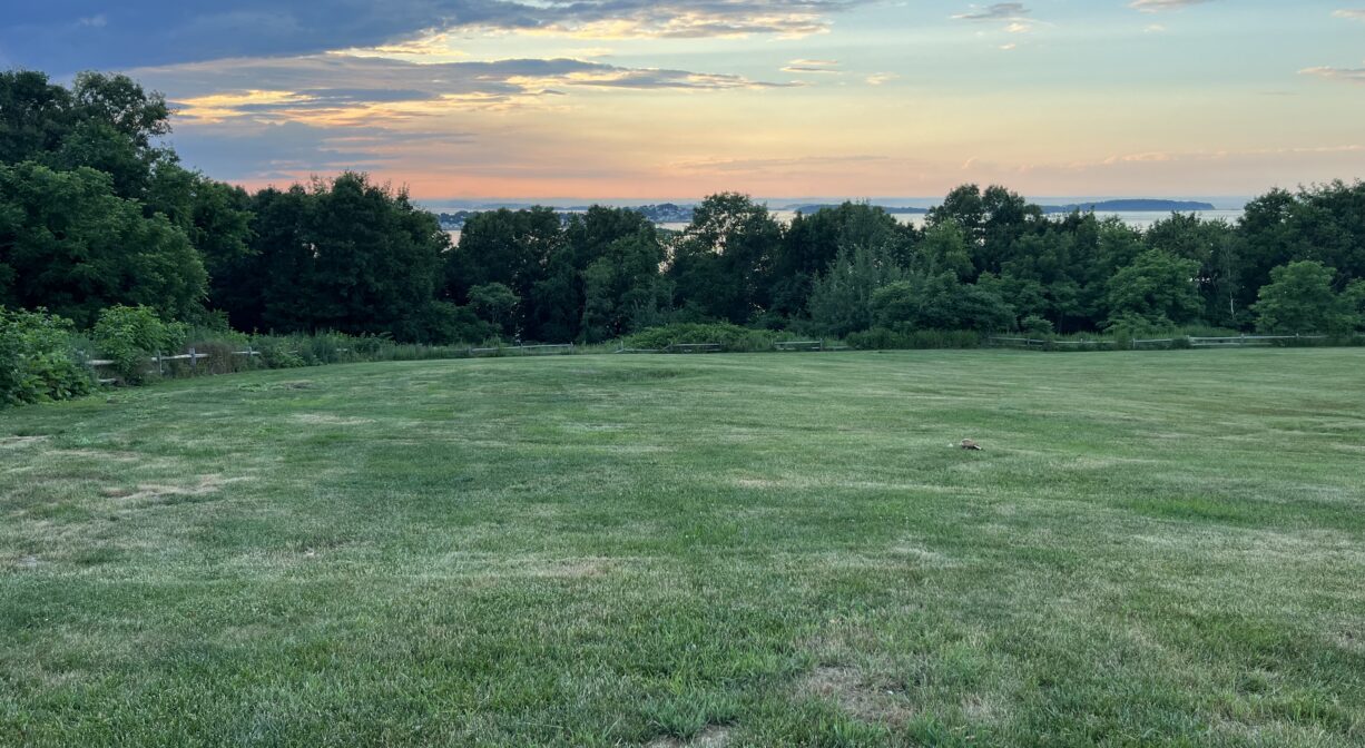 A photograph of a grassy park overlooking a city skyline at sunset.
