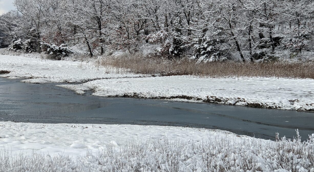 A photograph of a river flowing through a frozen marsh with snow-covered trees in the background.