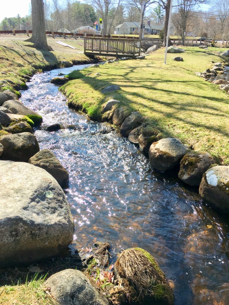 The Herring Are Running! 11 Places To See Them Each Spring North and