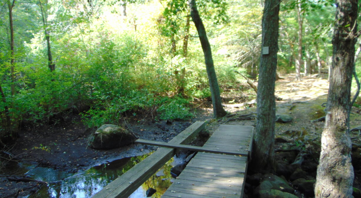 A photograph of a wooden footbridge across a stream in a forest.
