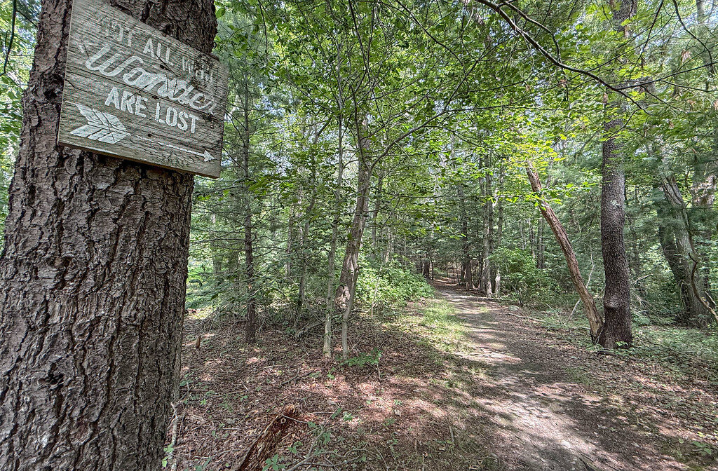 A photograph of a wooden sign in a forest.
