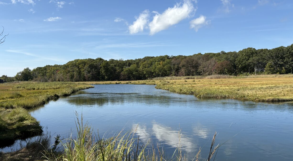 A photograph of a river surrounded with green salt marsh.