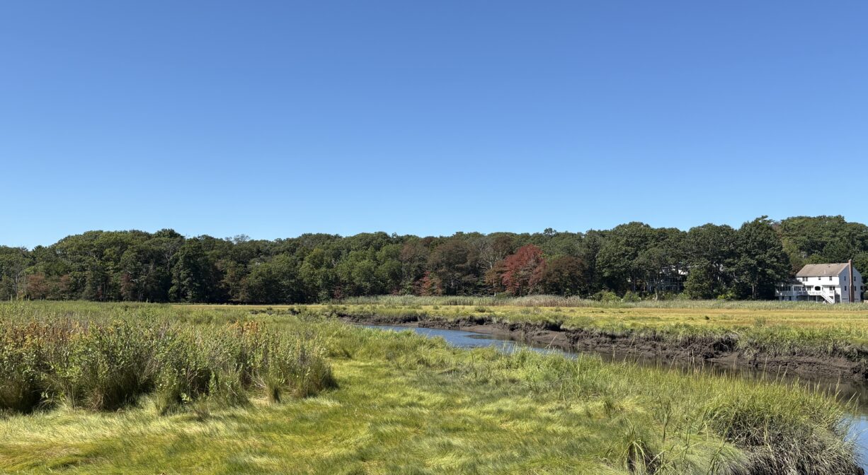 A photograph of a river flowing through a green salt marsh.