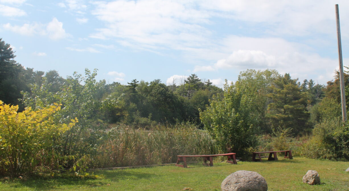 A photograph of a grassy area next to a pond with two wooden benches.