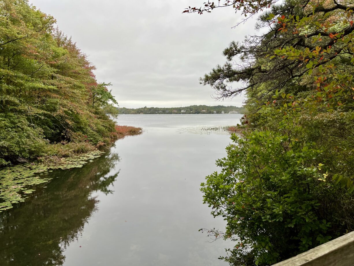Morton Park North and South Rivers Watershed Association