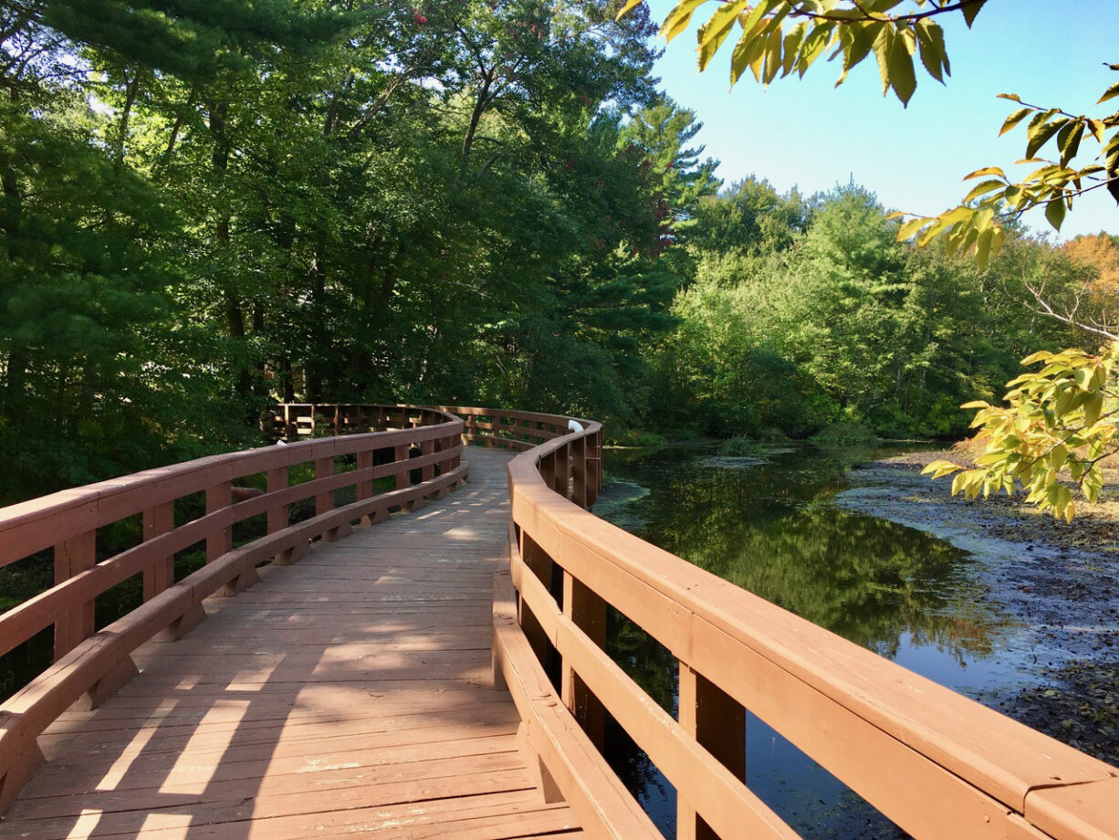 Oktoberfest on the Trails Pairing Hikes with Local Breweries North