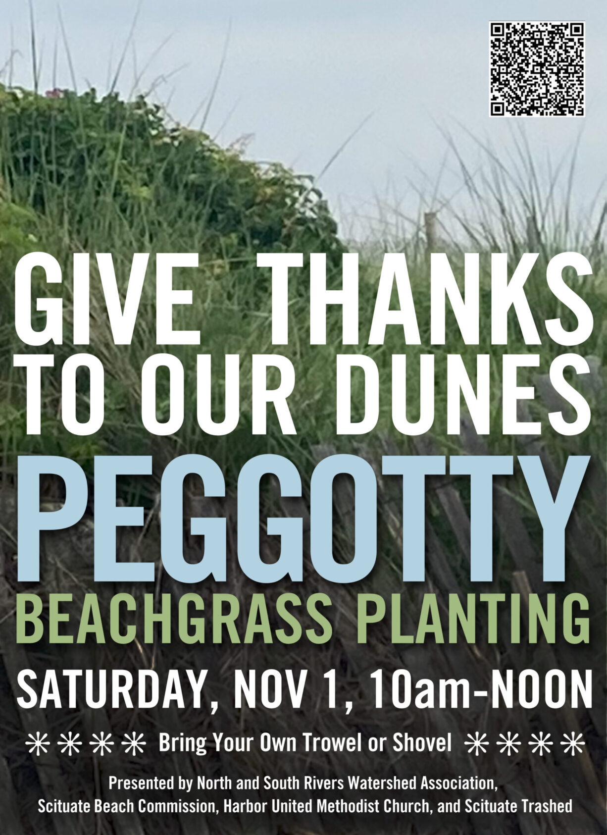 peggotty_beachgrass_planting (1)