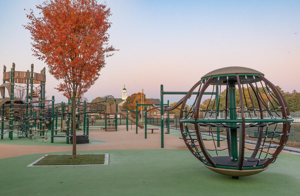 A photograph of a playground with a colorful tree.