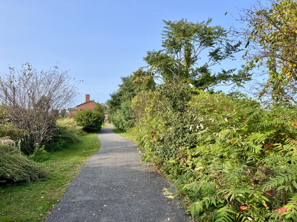 King's Cove Park North and South Rivers Watershed Association