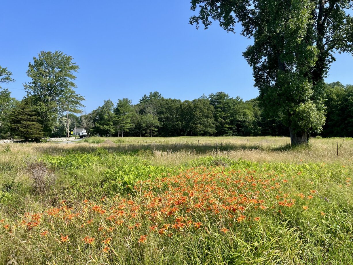 Norwell Community Gardens - North and South Rivers Watershed