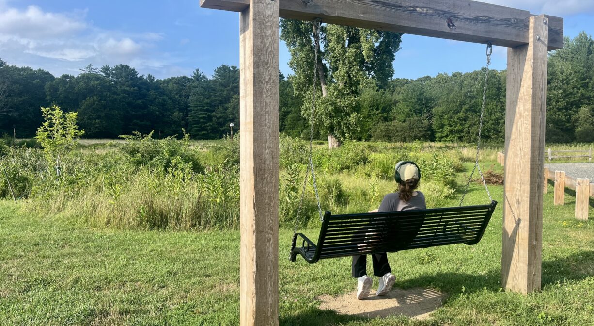 A photograph of an individual sitting on a bench swing overlooking a green meadow.