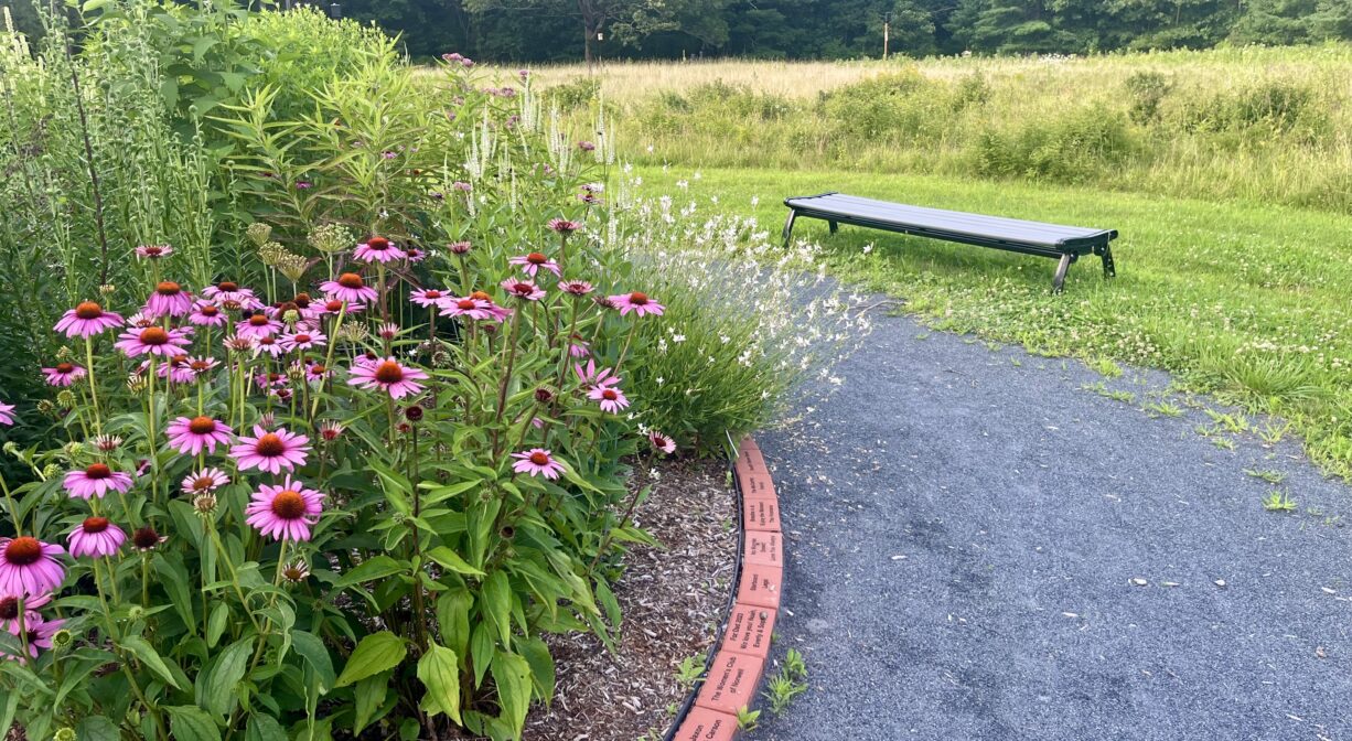 A photograph of a low bench overlooking a flower garden.
