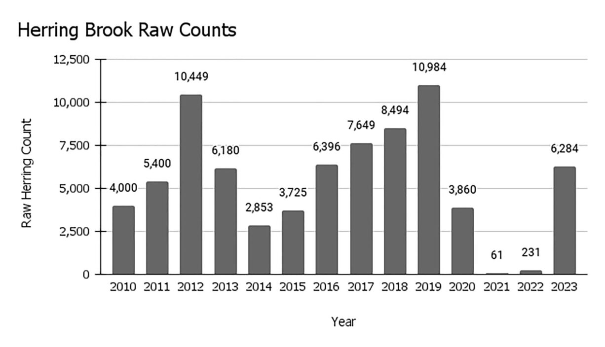 Citizen Science River Herring Counts Help Us Understand Population