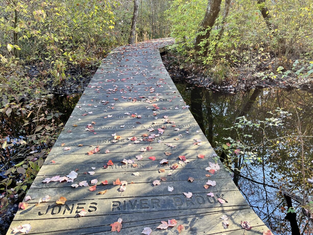 Cato's Ridge Preserve North and South Rivers Watershed Association