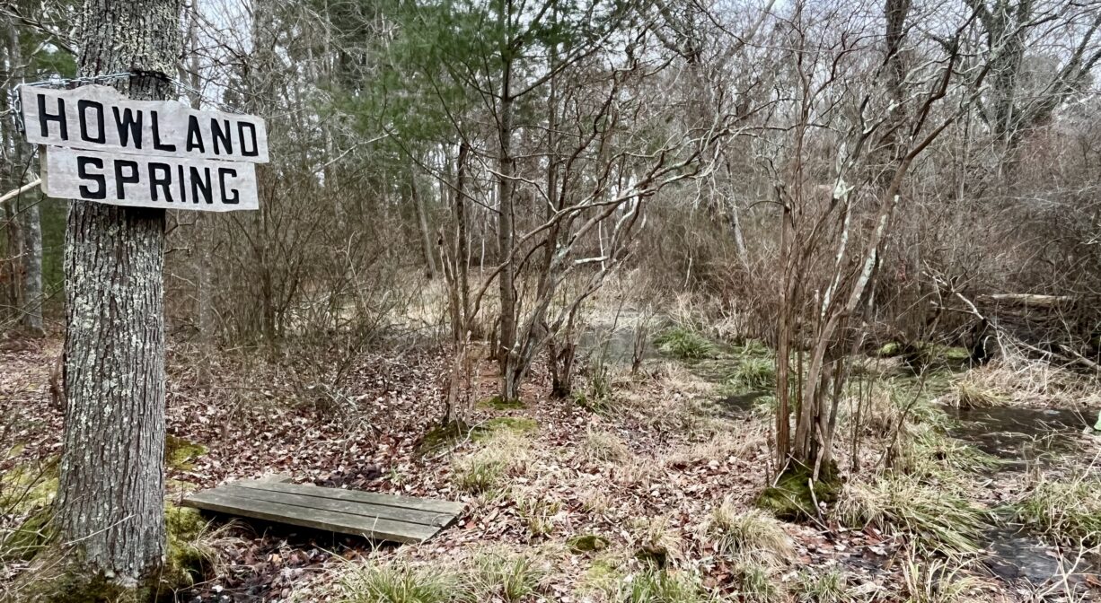 A photograph of a spring in a forest with a large wooden sign above it.
