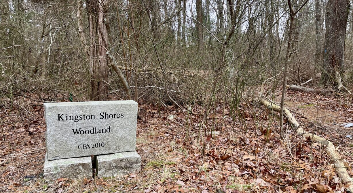 A photograph of a historic marker in a woodland.