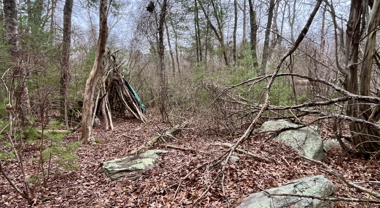 A photograph of a forest clearing with a few large rocks and a simple shelter.