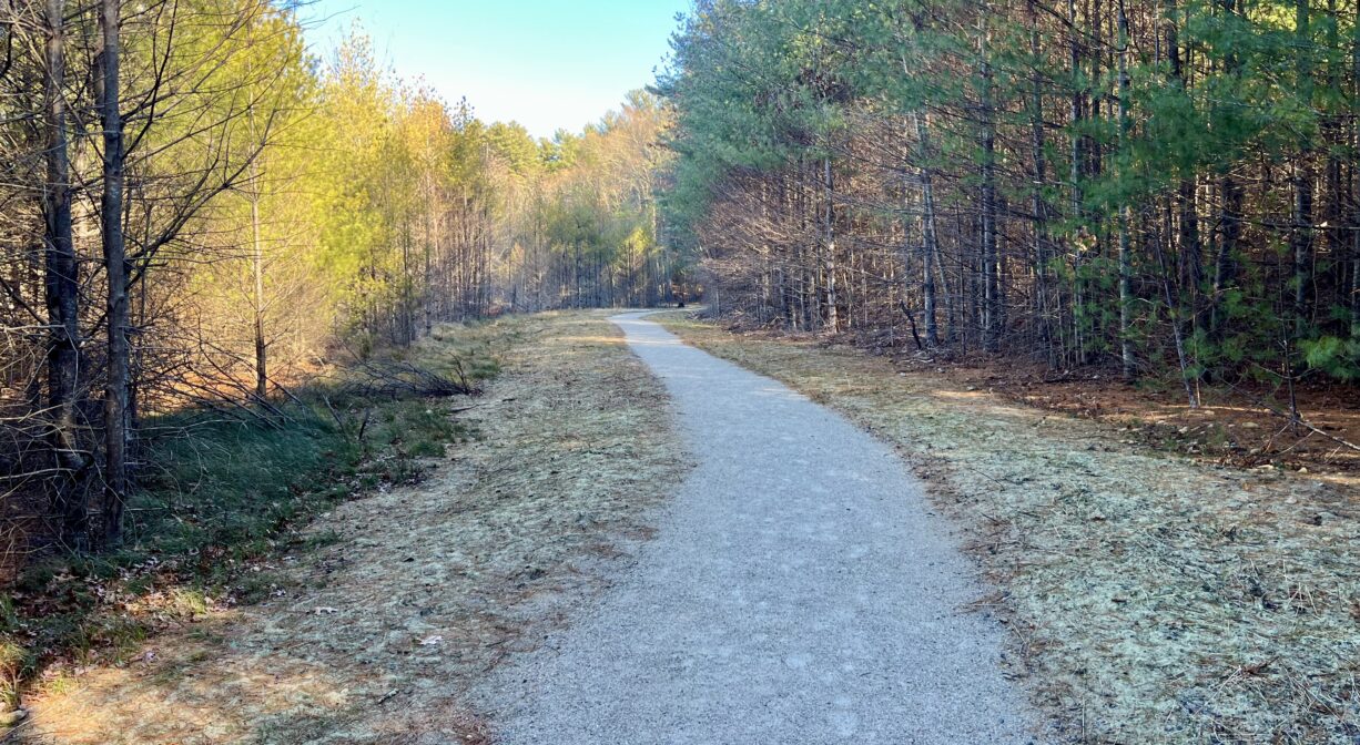 A photograph of a trail bordered by trees.