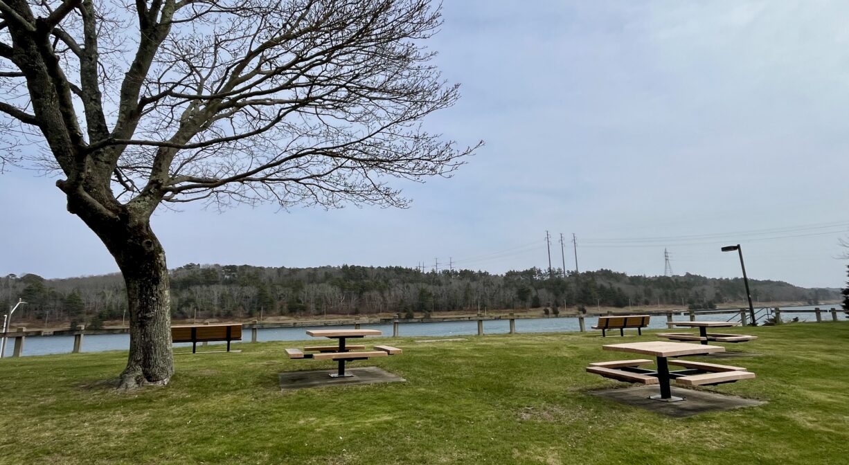A photograph of a grassy area beside a canal with one bare tree and several picnic tables.