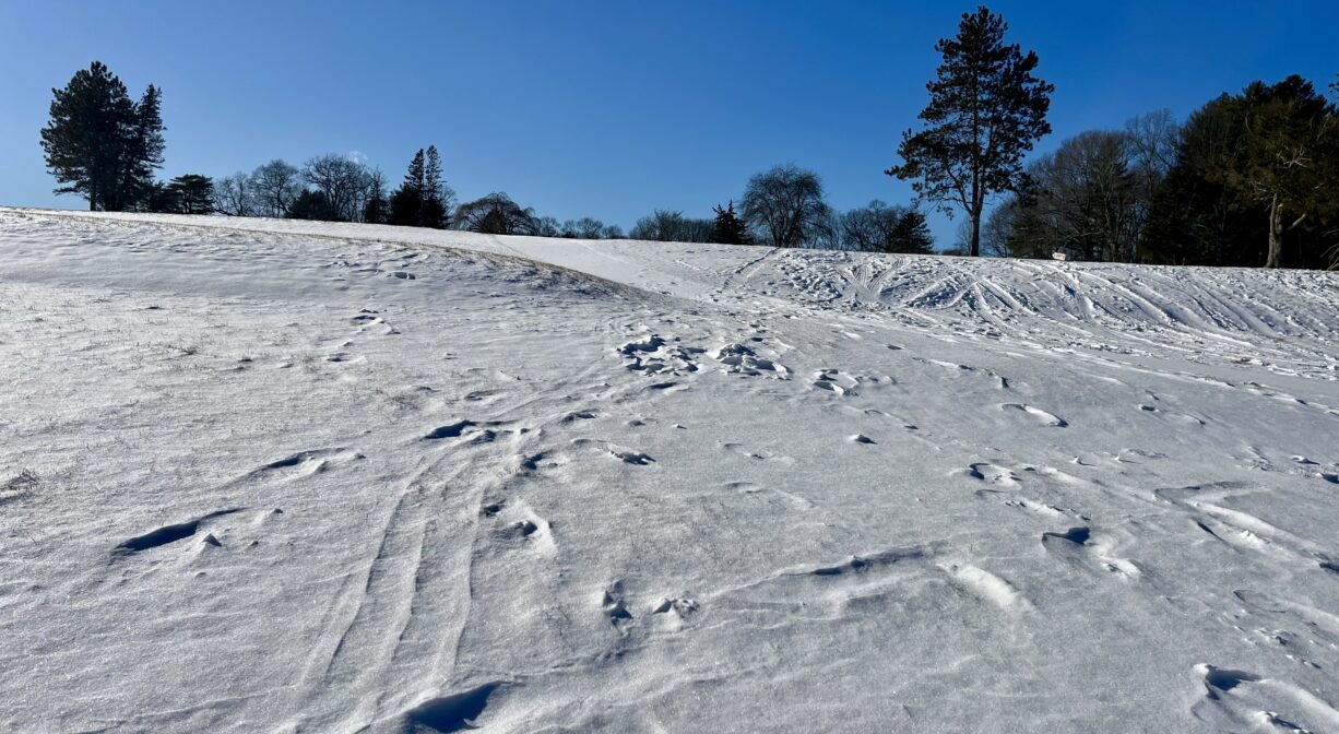 A photograph of a snow-covered sloping hill with a blue sky.
