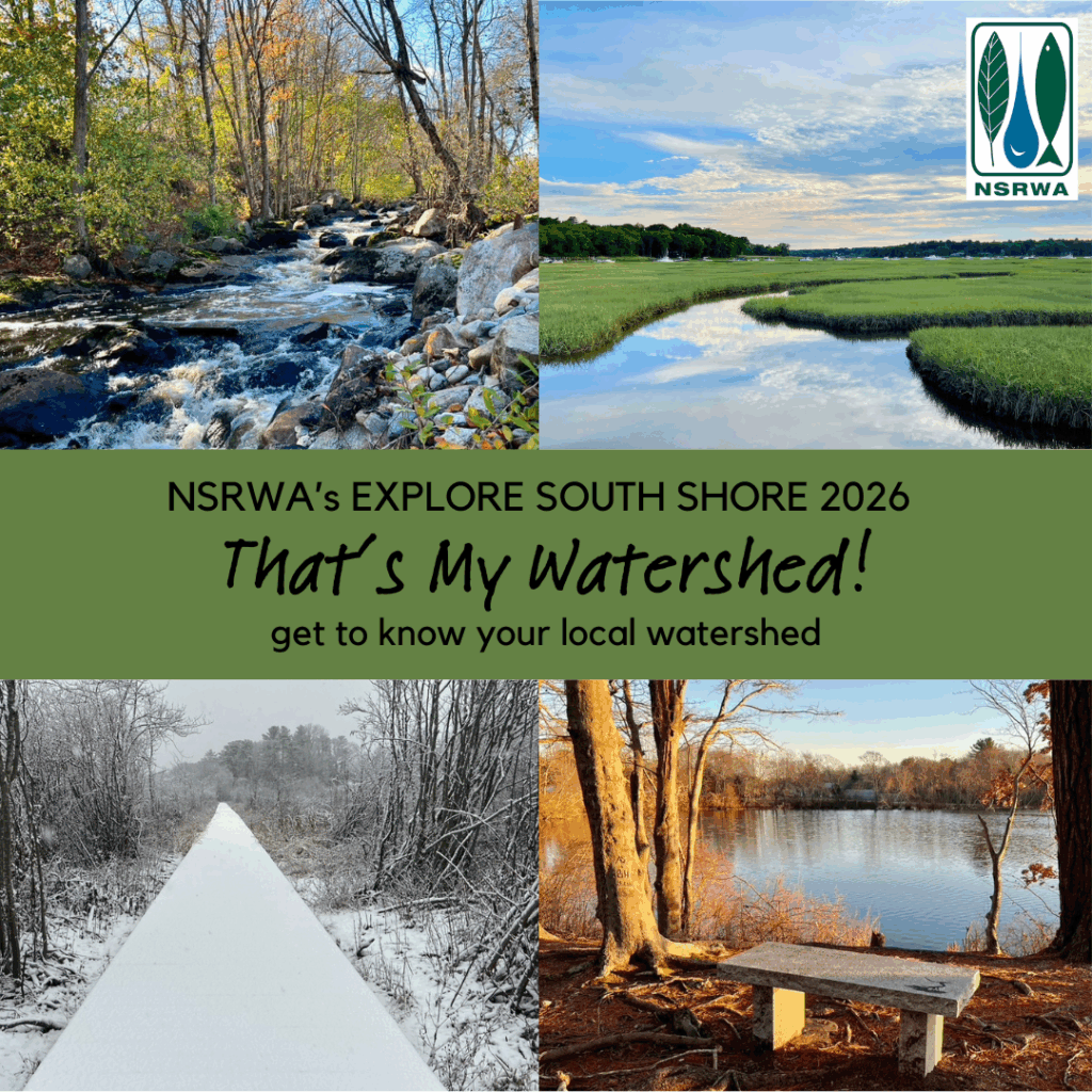 Four seasonal landscape photographs featuring waterways.