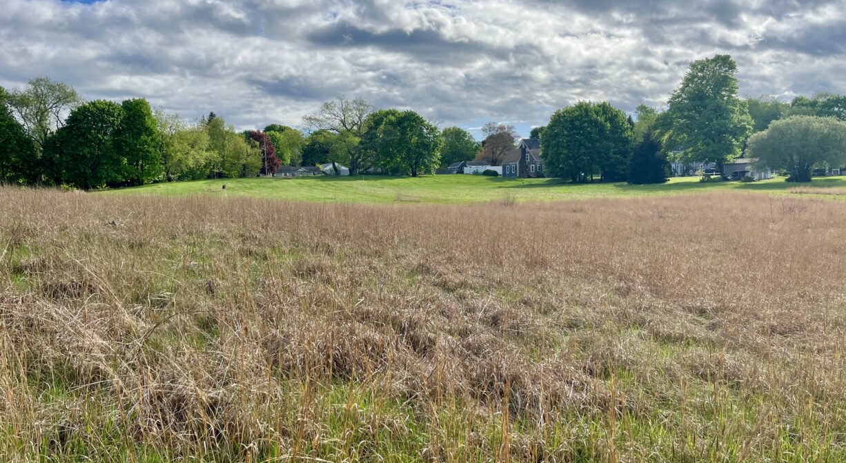 A photograph of a large open field with trees in the distance.