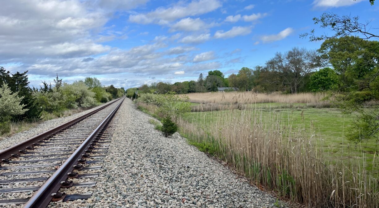 A photograph of railroad track beside a salt marsh.