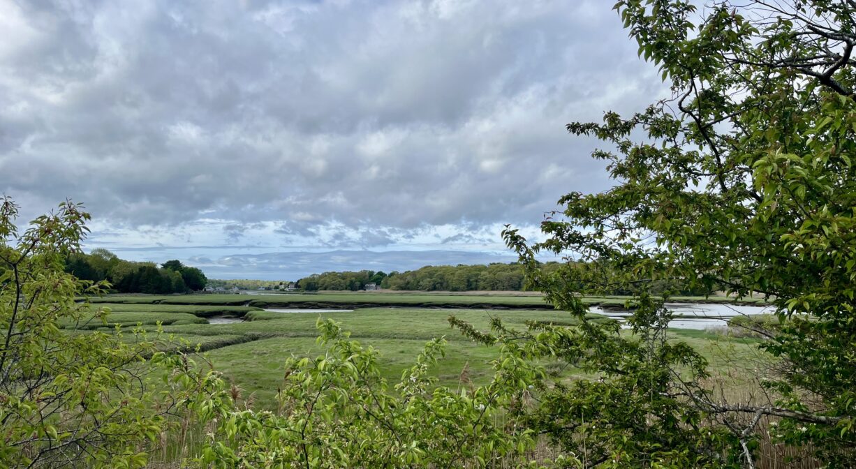 A photograph of a salt marsh and a river.