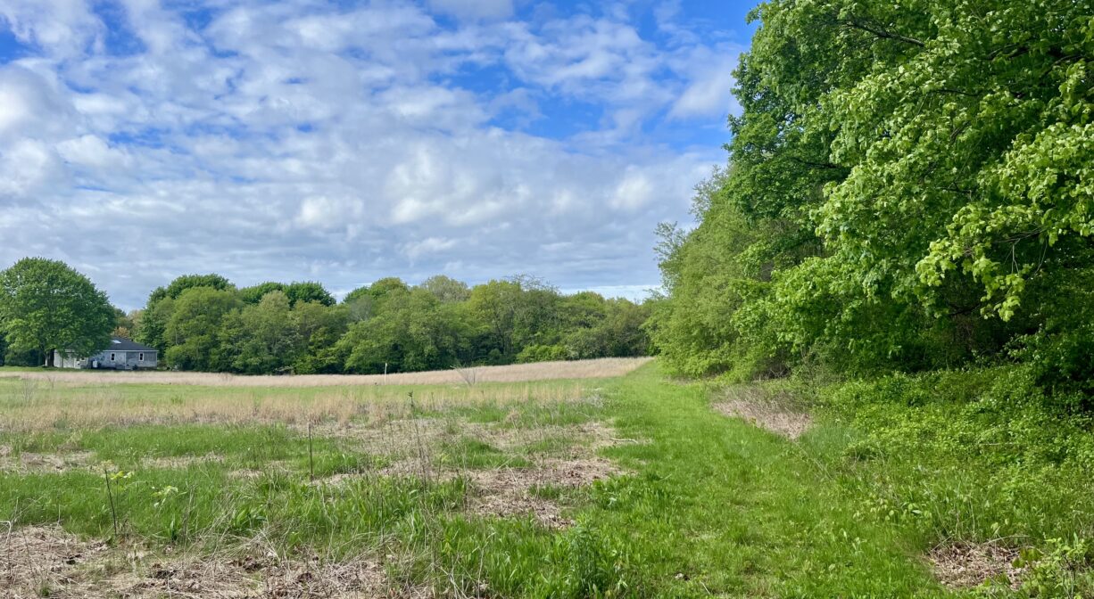 A photograph of an open field with a row of trees along one side.