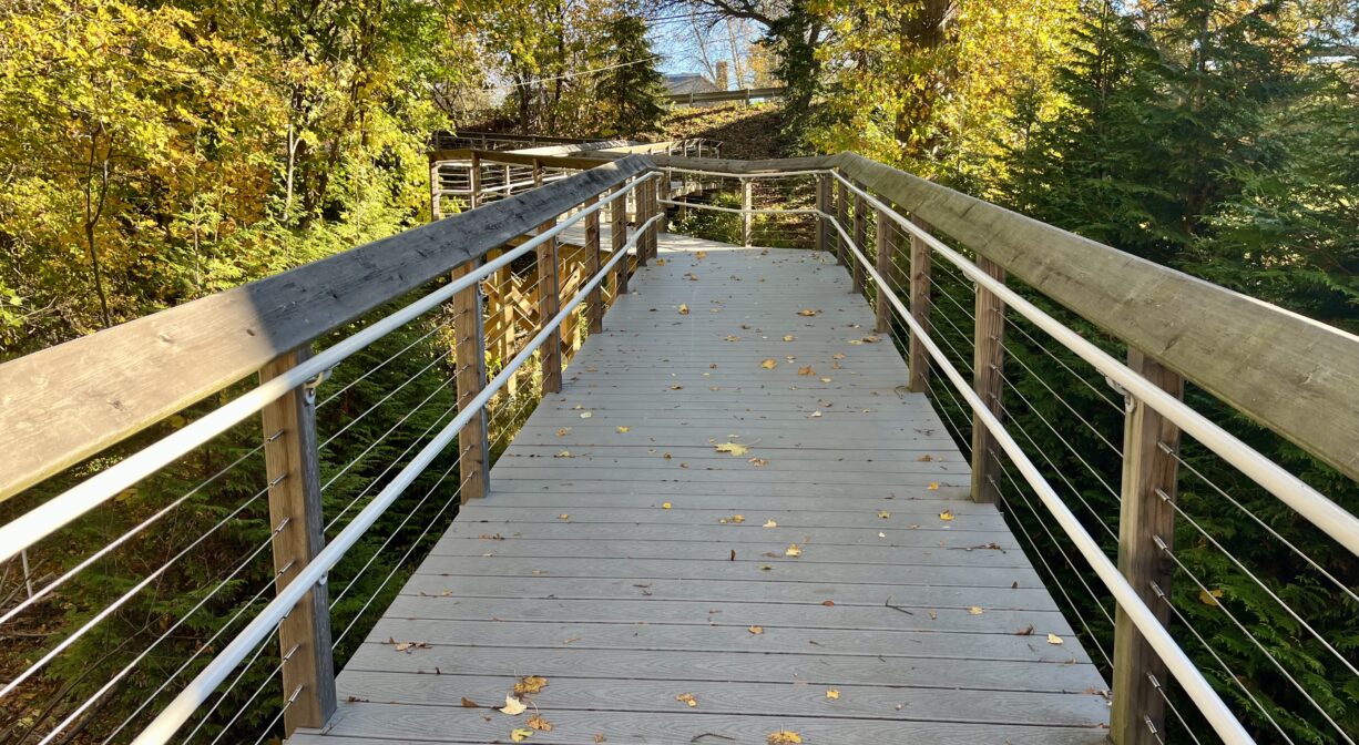 A photograph of a long ramp with guard rails, leading into a colorful forest.