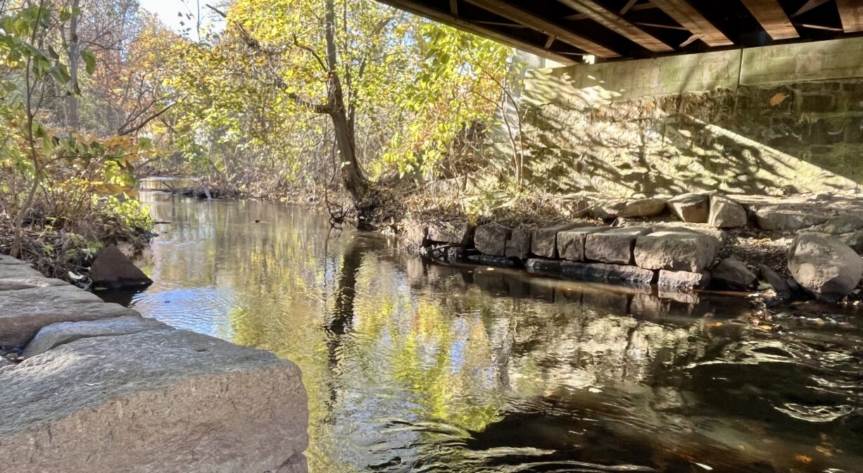 A photograph of a river with a railroad bridge crossing it.