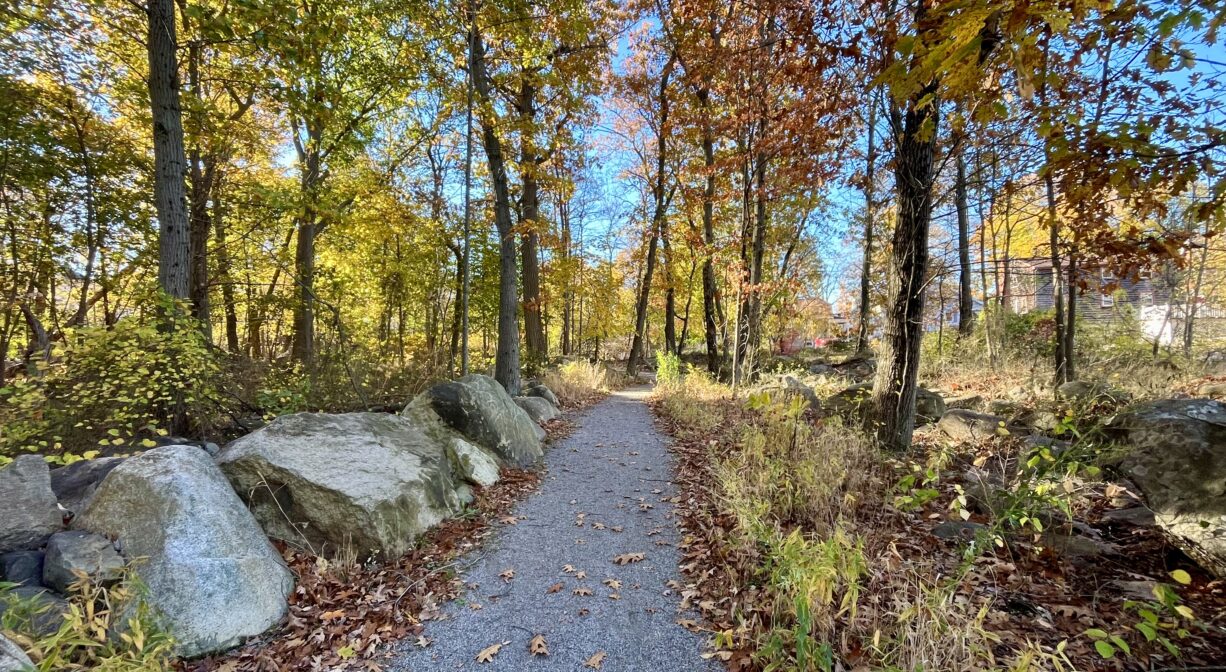A photograph of a trail through a forest with large boulders to one side.